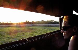 Itinerarios de colores por Las Tablas de Daimiel. Hay varias casetas que permiten la observación de aves