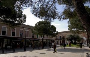 Itinerarios de colores por Las Tablas de Daimiel. Encontrareis un olivo centenario en el centro de Daimiel