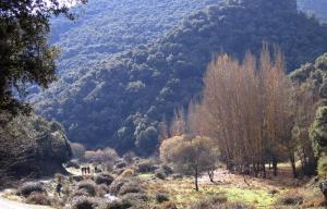 Un paseo milenario por la Comarca del Marquesado. Paisaje otoñal del Parque Nacional de Sierra Nevada