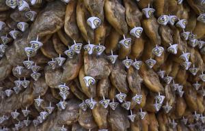 Un paseo milenario por la Comarca del Marquesado. No te vayas si probar el exquisito jamón